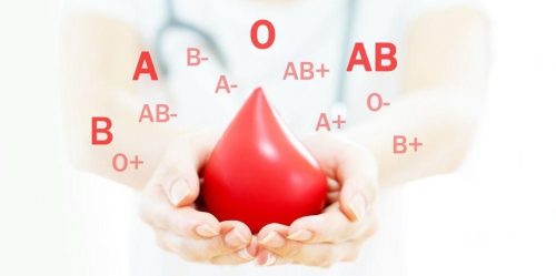 Apa Fungsi Plasma Darah Dan Kegunaannya