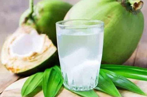 Bagian dari pohon kelapa yang dapat diolah menjadi minuman segar dan menyehatkan adalah