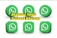 Mengenal Fungsi Database Whatsapp